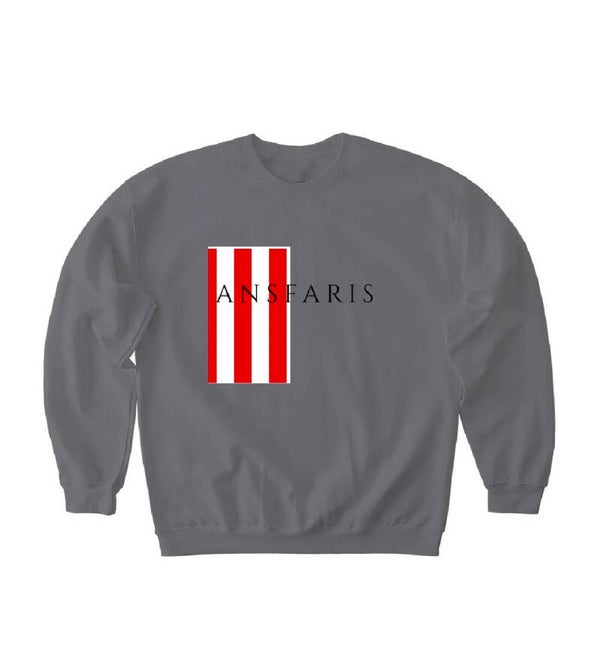 ANSFARIS GRAY STRIPE HOODIE