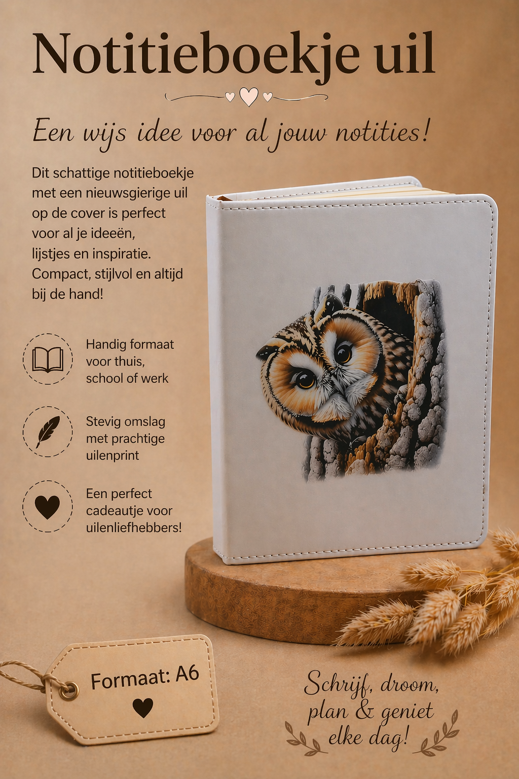 Notitieboekje uil