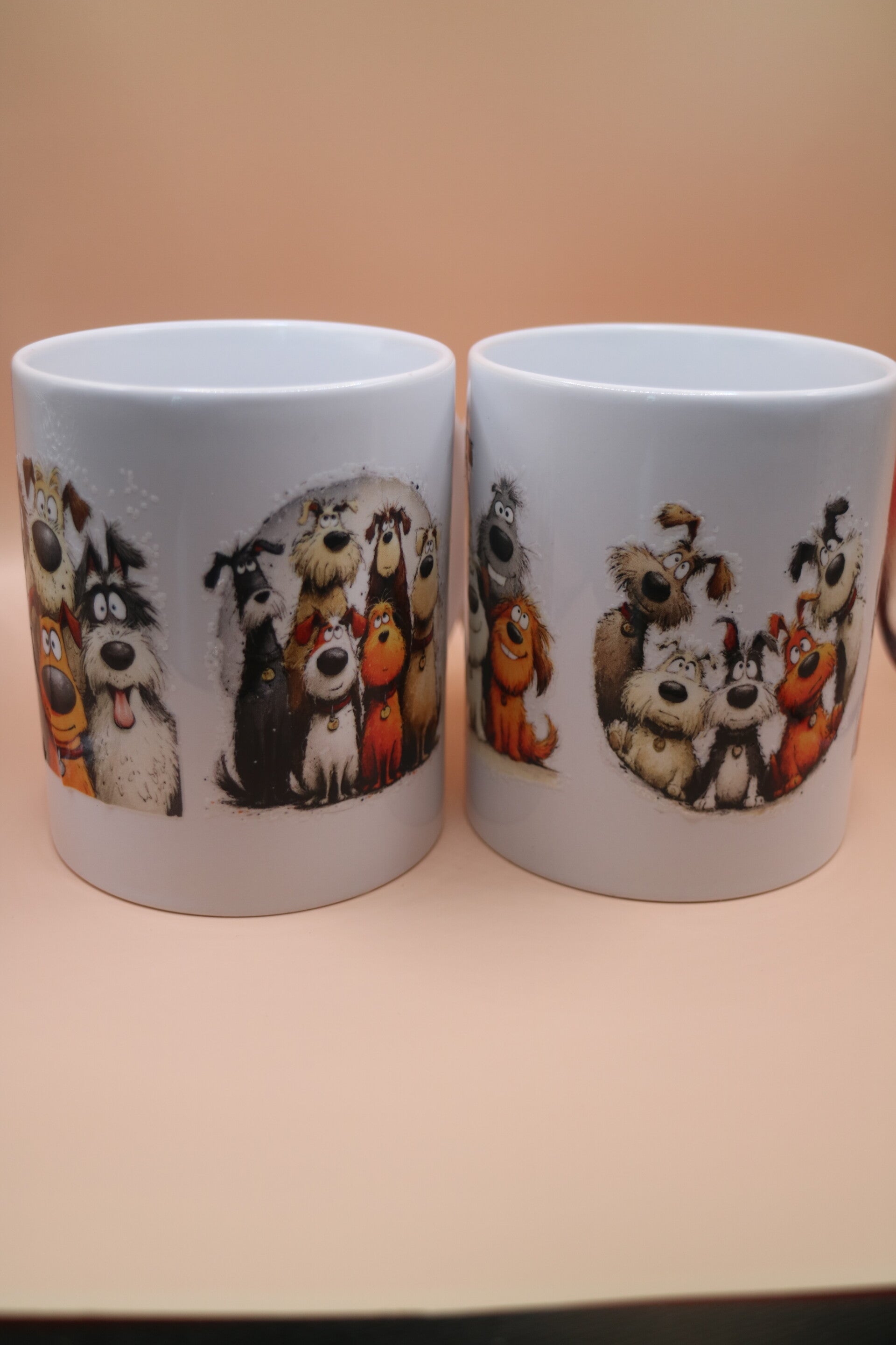 Mokkenset de trouwe hond.