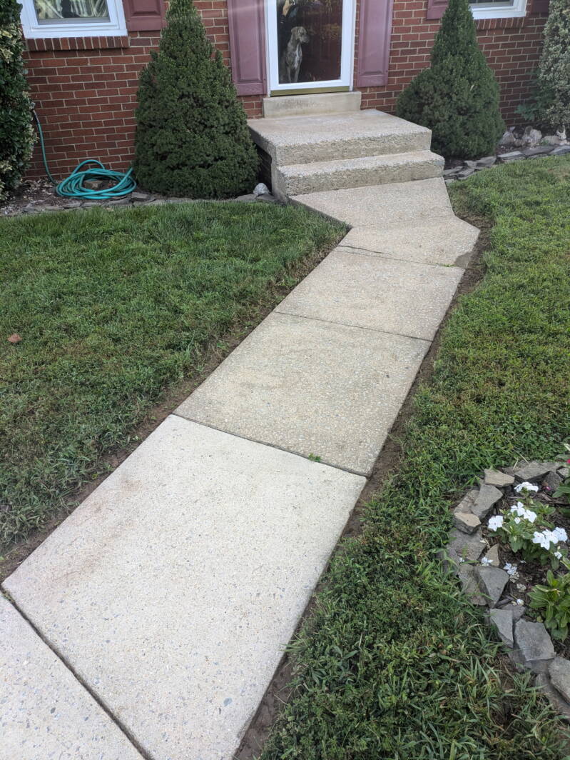3158-standard.jpg