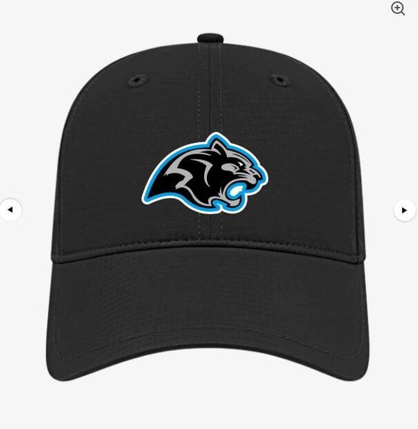 Panthers Embroidered Patch Black Cap