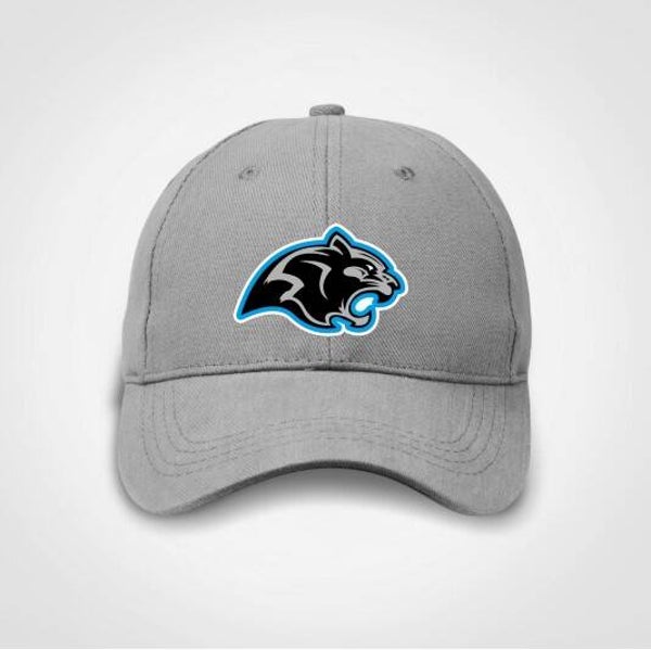 Panthers Embroidered Patch Gray Cap