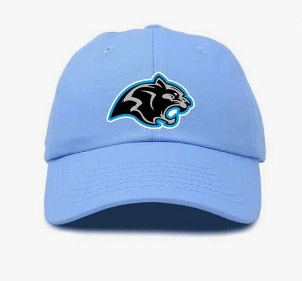 Panthers Embroidered Patch Blue Cap
