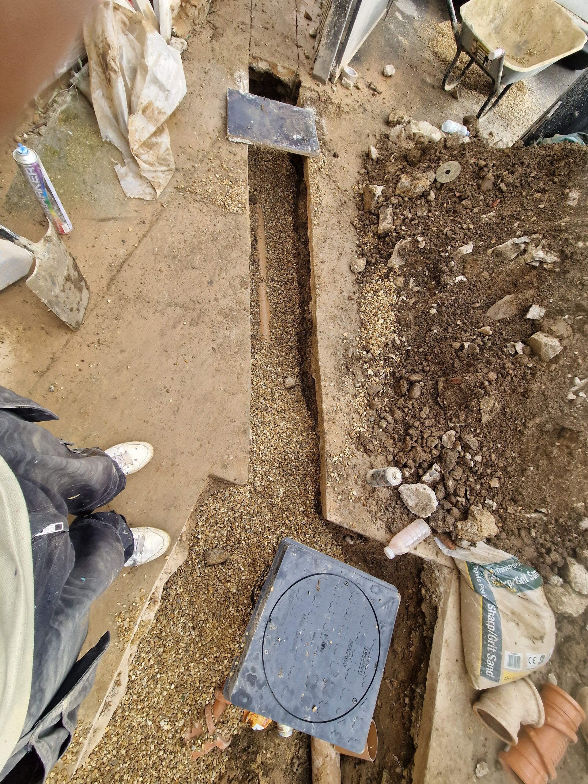 20231028_120443-standard.jpg