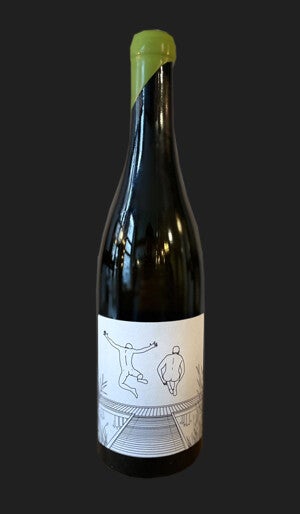 Grüner Veltliner Freisprung 2021 - RauSchnitt Weine