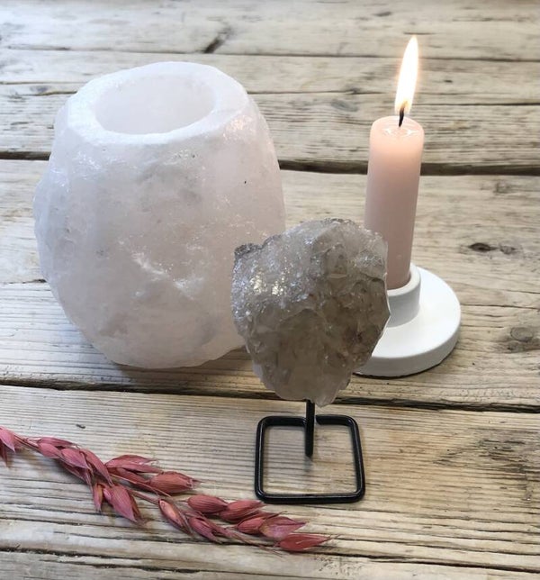 Alligator kwarts op voet