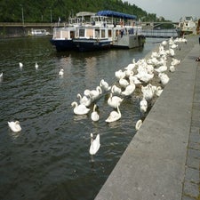 22-standard-z2kaee.jpg