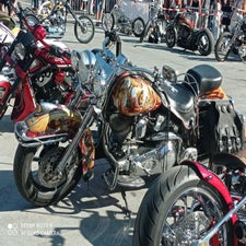 6-standard-fs0y4t.jpg