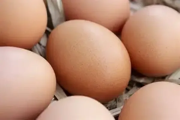 Chicken eggs