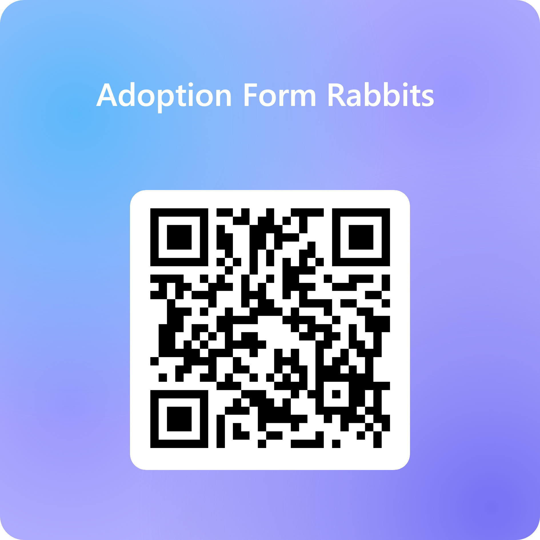 Available Rabbits / Available Animals | Small Critter Rescue Somersert