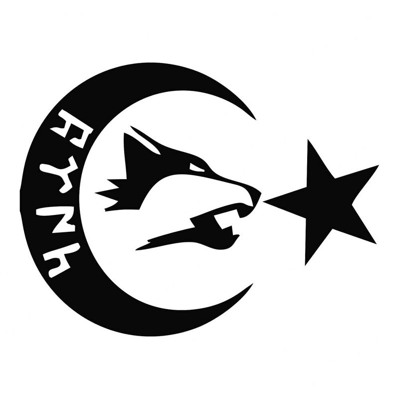 PLAY-COOL-Funny-Moon-Star-Flag-Wolf-Gokturk-In-Turkish-Lettering-Car-Sticker-Exterior-Accessories-Reflective.jpg