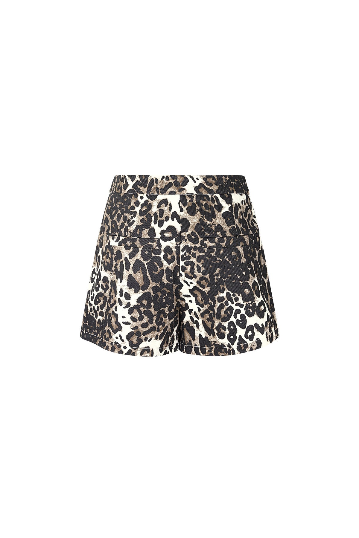 Shorts Luipaardprint Hoge Taille