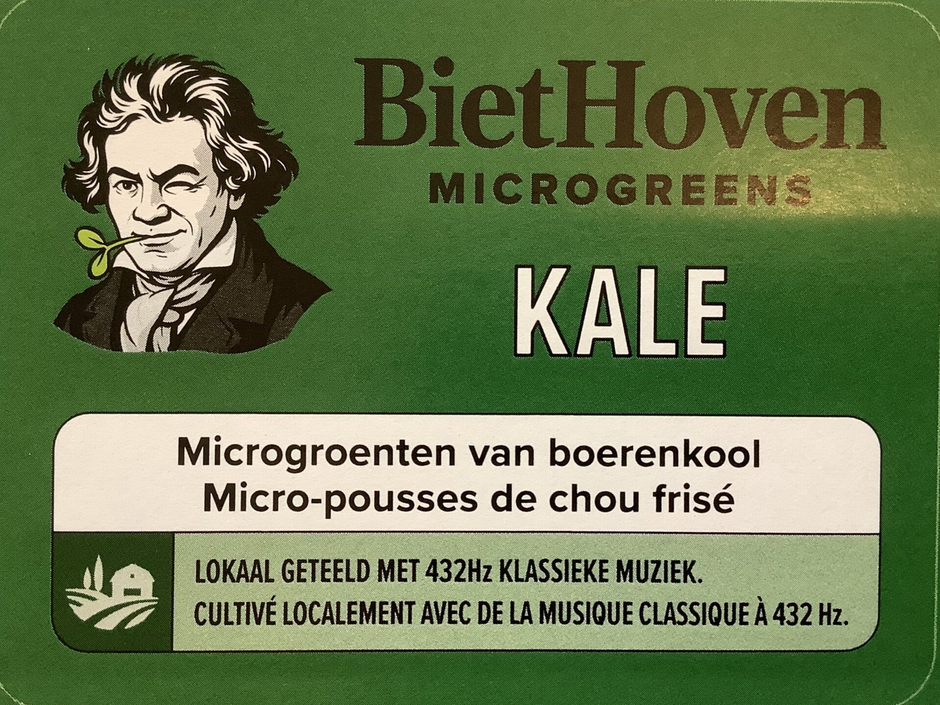 Boerenkool 25 g