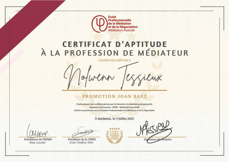 Certificat d'aptitude a la profession de médiateur professionnel - Nolwenn Tessieux - Saint Étienne