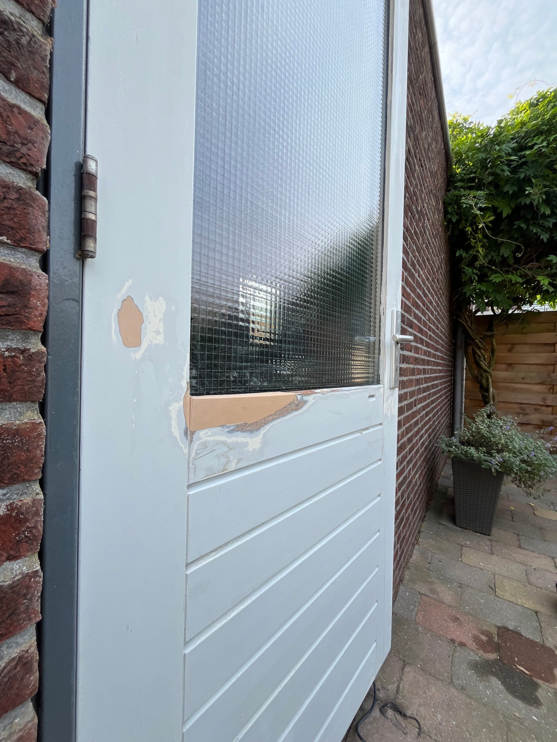 houtrot-zeewolde