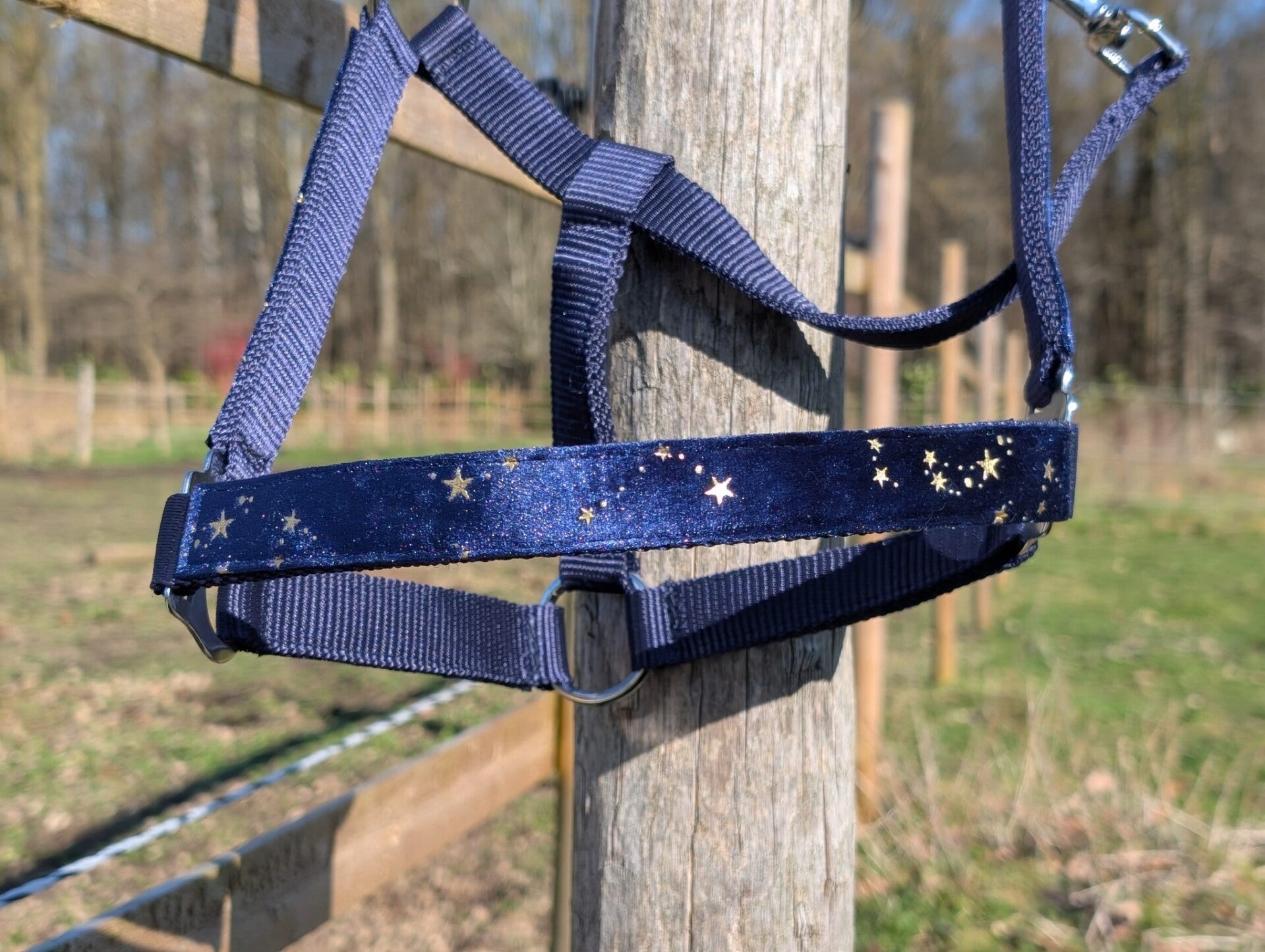Navy Velvet Sterren Halster