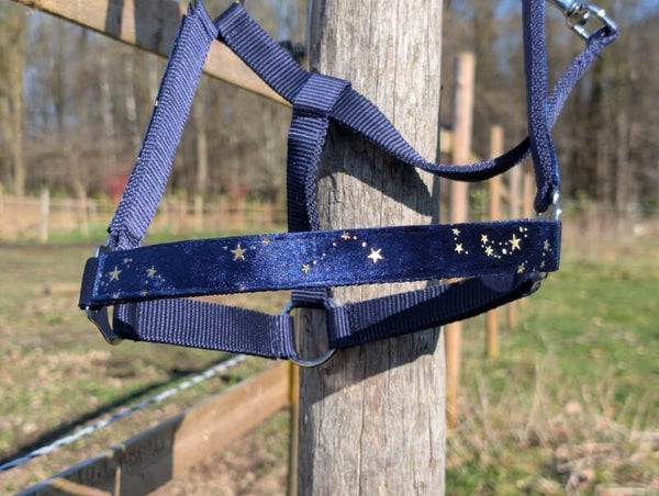 Navy Velvet Sterren Halster