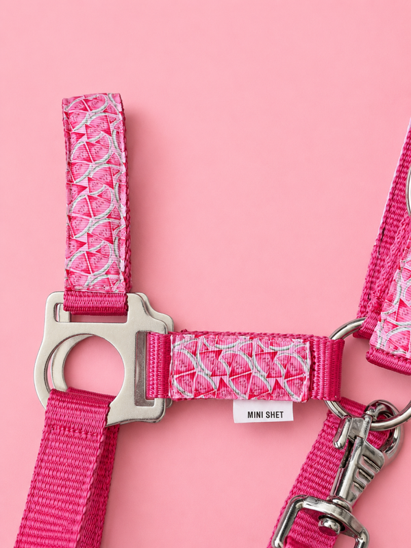 Roze Watermeloen Halster