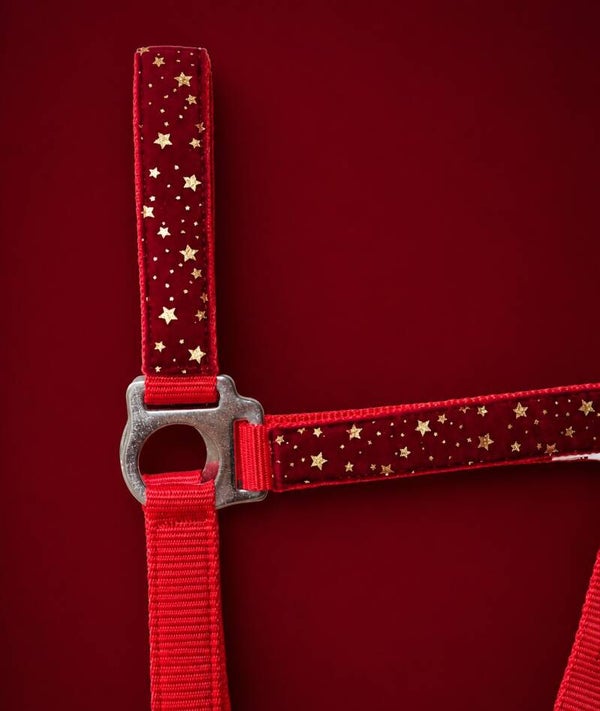 Velvet Sterren Rood Halster