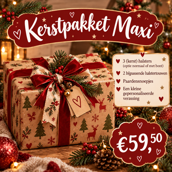 Kerst Pakket Maxi