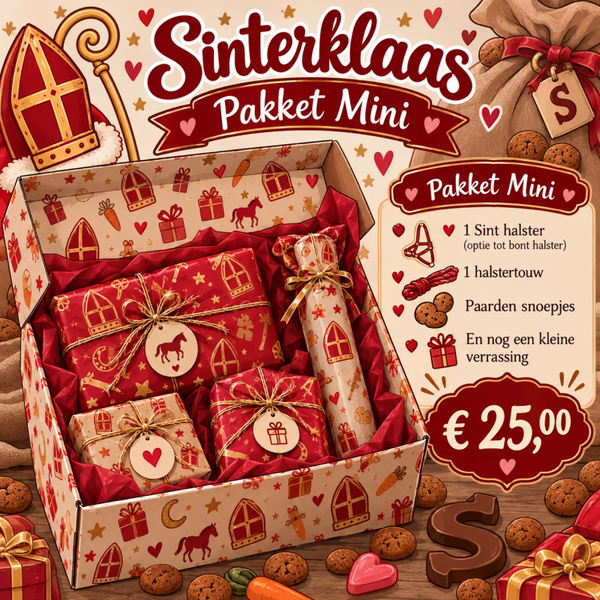 Sinterklaas Pakket Mini