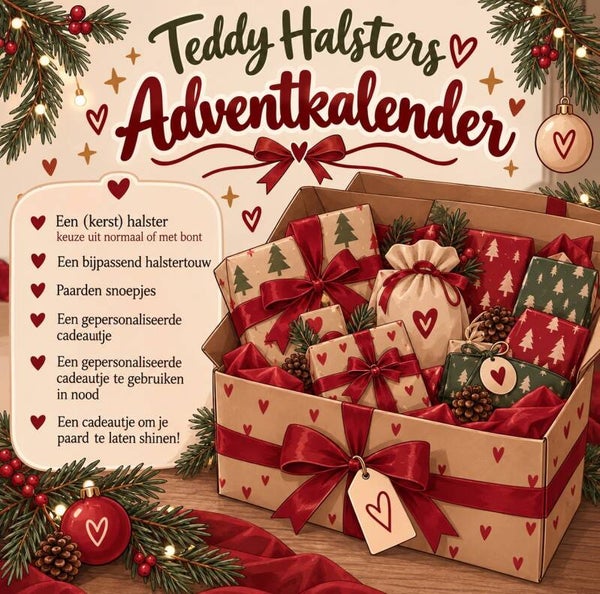 Teddy's Adventkalender