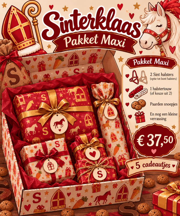Sinterklaas Pakket Maxi
