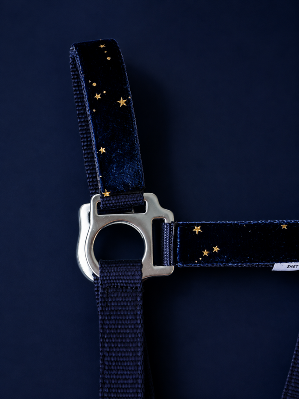 Navy Velvet Sterren Halster