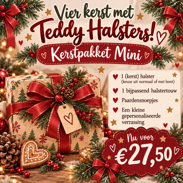 Kerst Pakket Mini