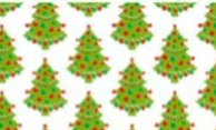 Kerstbomen  Halster