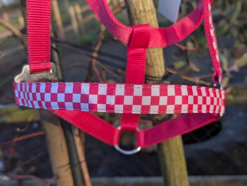 Roze Blokjes Halster