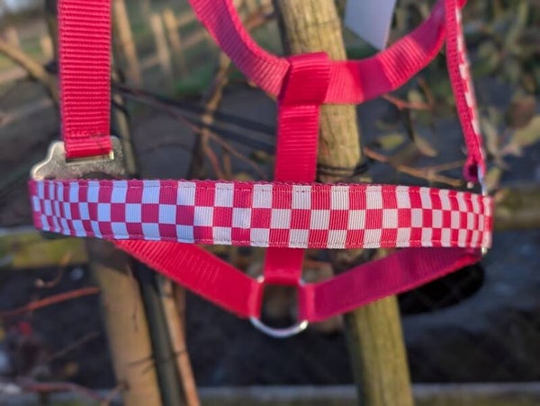 Roze Blokjes Halster