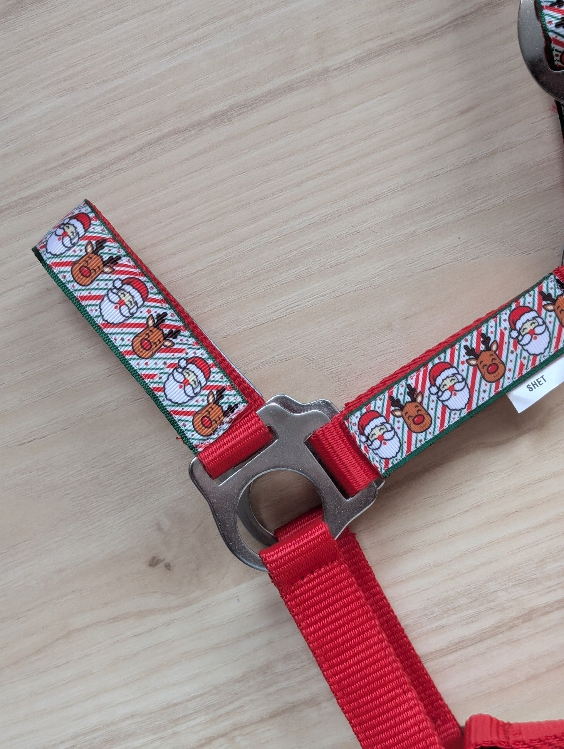 Kerstman en Rudolf Halster