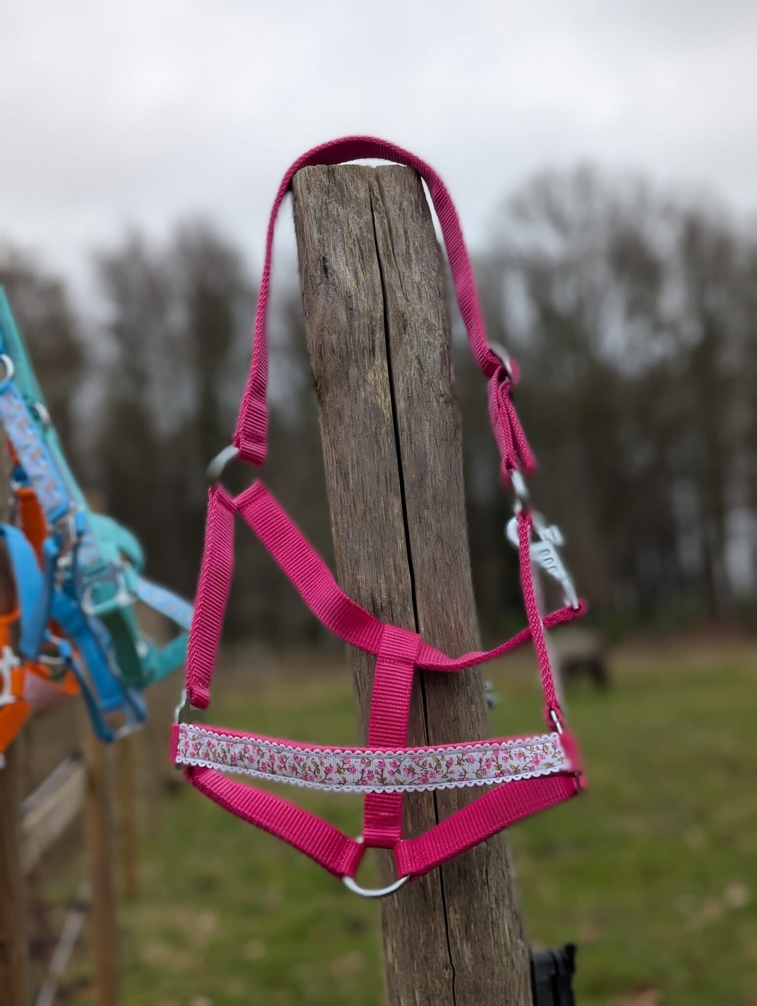 Roze Bloesem Halster