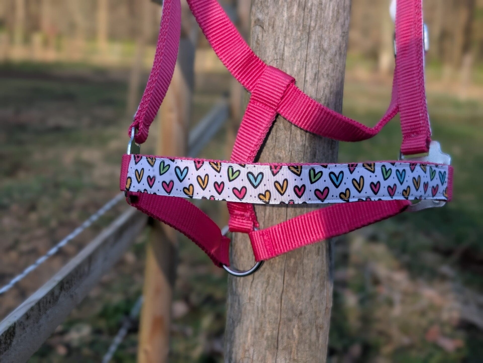 Hartjes in Kleur Halster