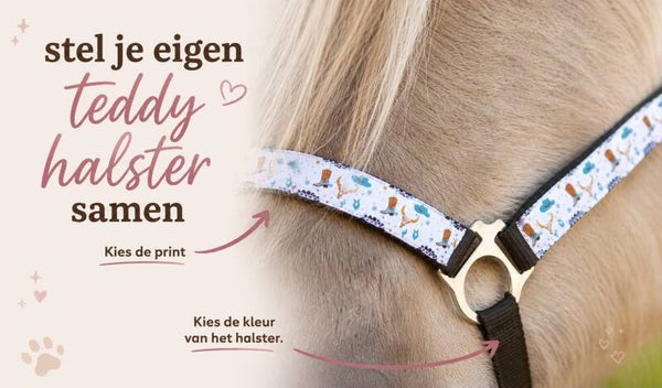 Stel je eigen Teddy Halster samen