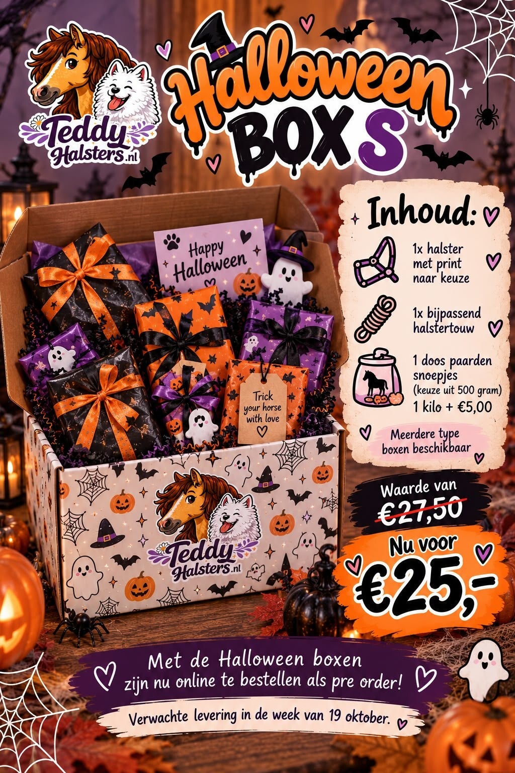 👻Halloween Box SMALL 🎃