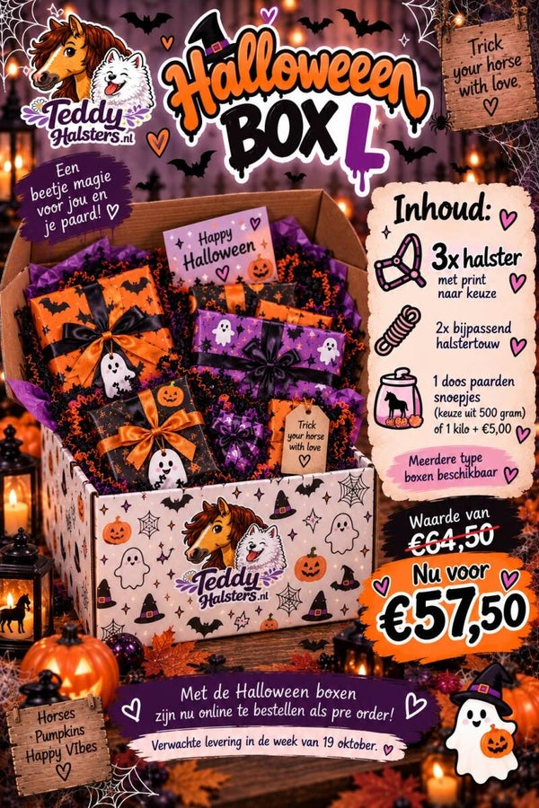 👻Halloween Box LARGE 🎃