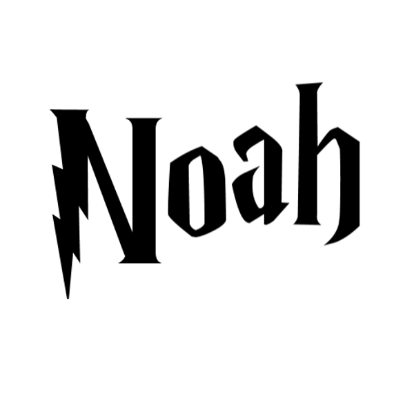 Strijkapplicatie - Naam Wizard