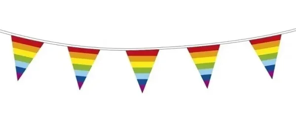 Vlaggenlijn regenboog- 10 m