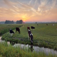 20220904_200400-standard-cnwab9.jpg