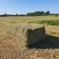 20230610_182339-standard.jpg