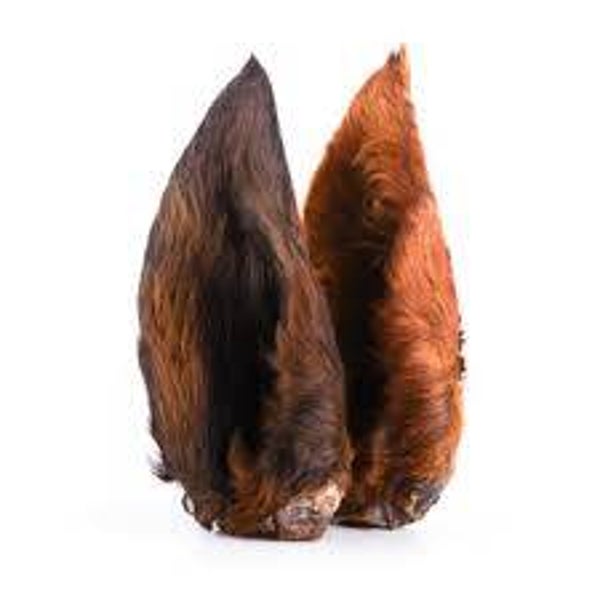 Paardenoren met vacht 4St