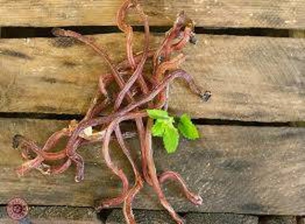 Lamspees ( pikken ) 100Gr