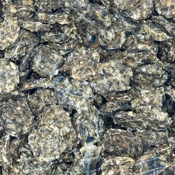 Kabeljauw Visburgers 100Gr