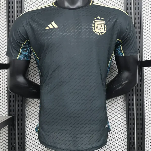 2024/25 Player Version Argentine