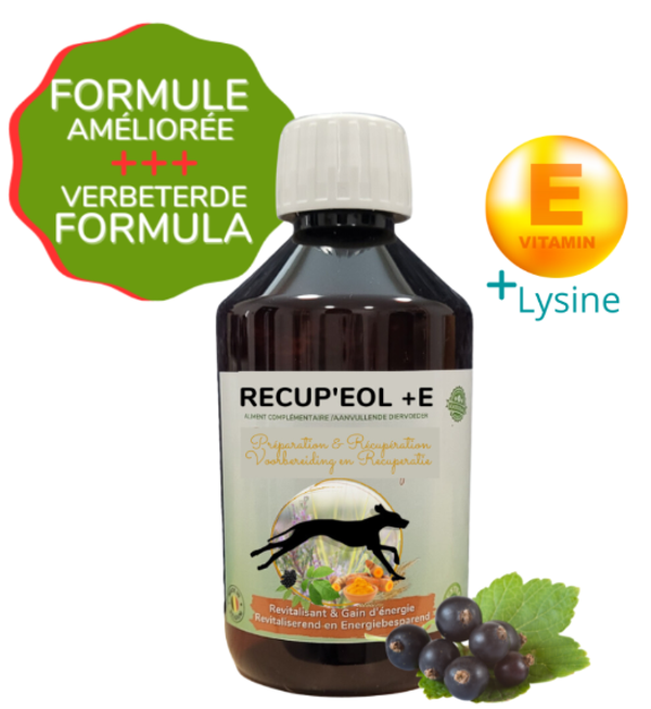 RECUP'EOL +E Sport