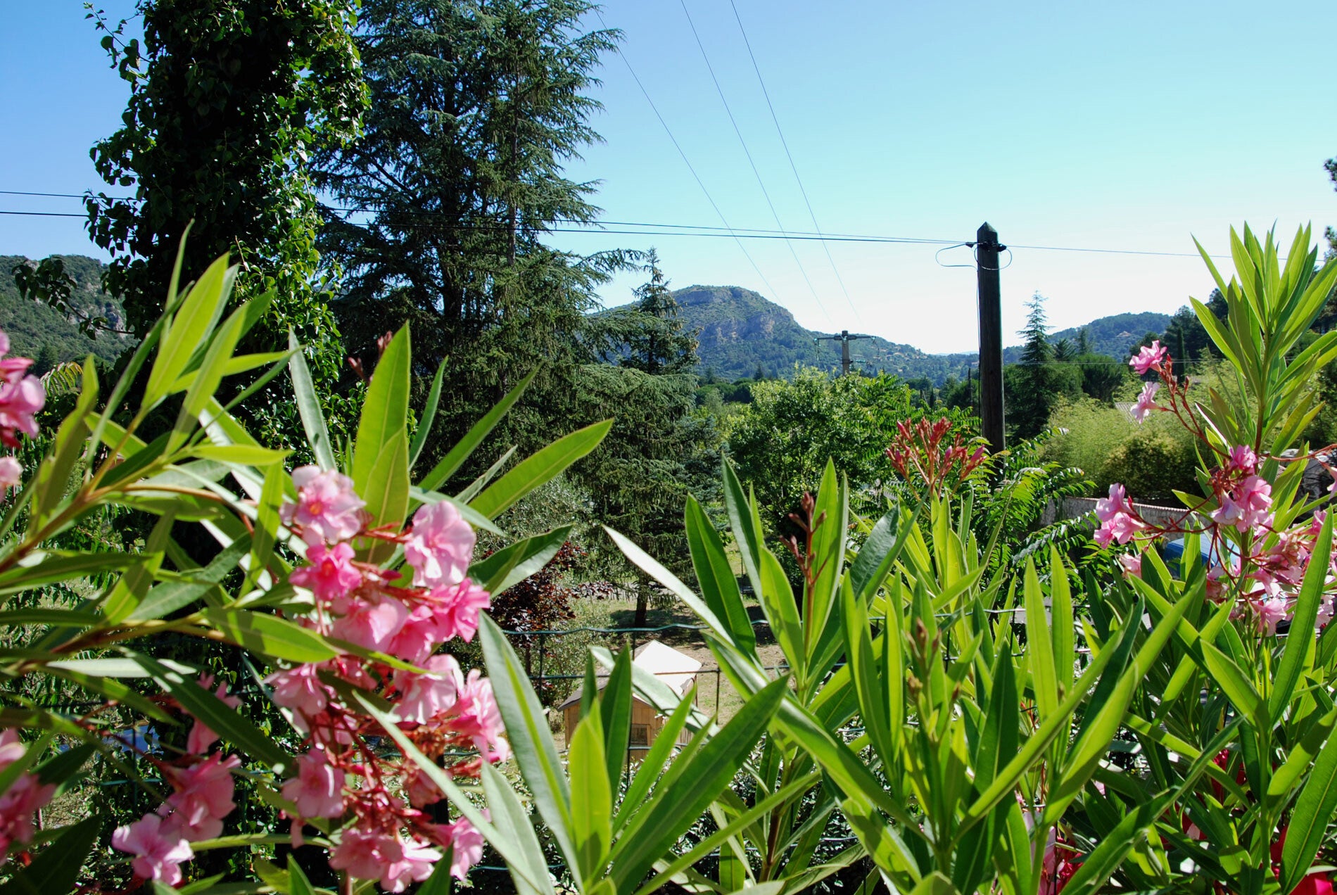 Vakantiehuizen Frankrijk