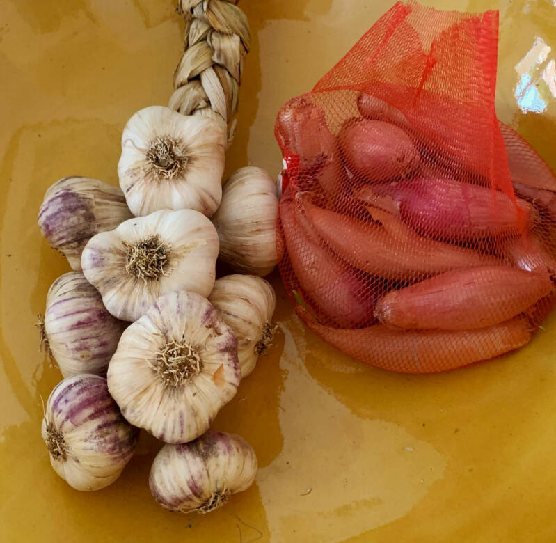 Vakantievilla Anduze Frankrijk