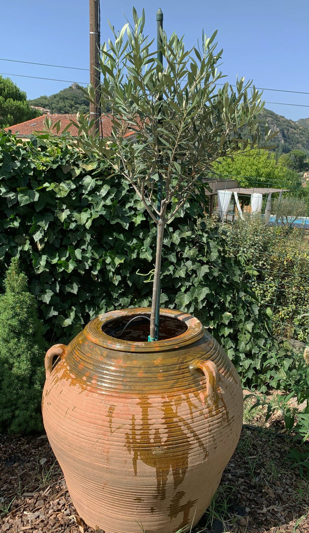 Tuin Frankrijk Anduze vakantiehuis